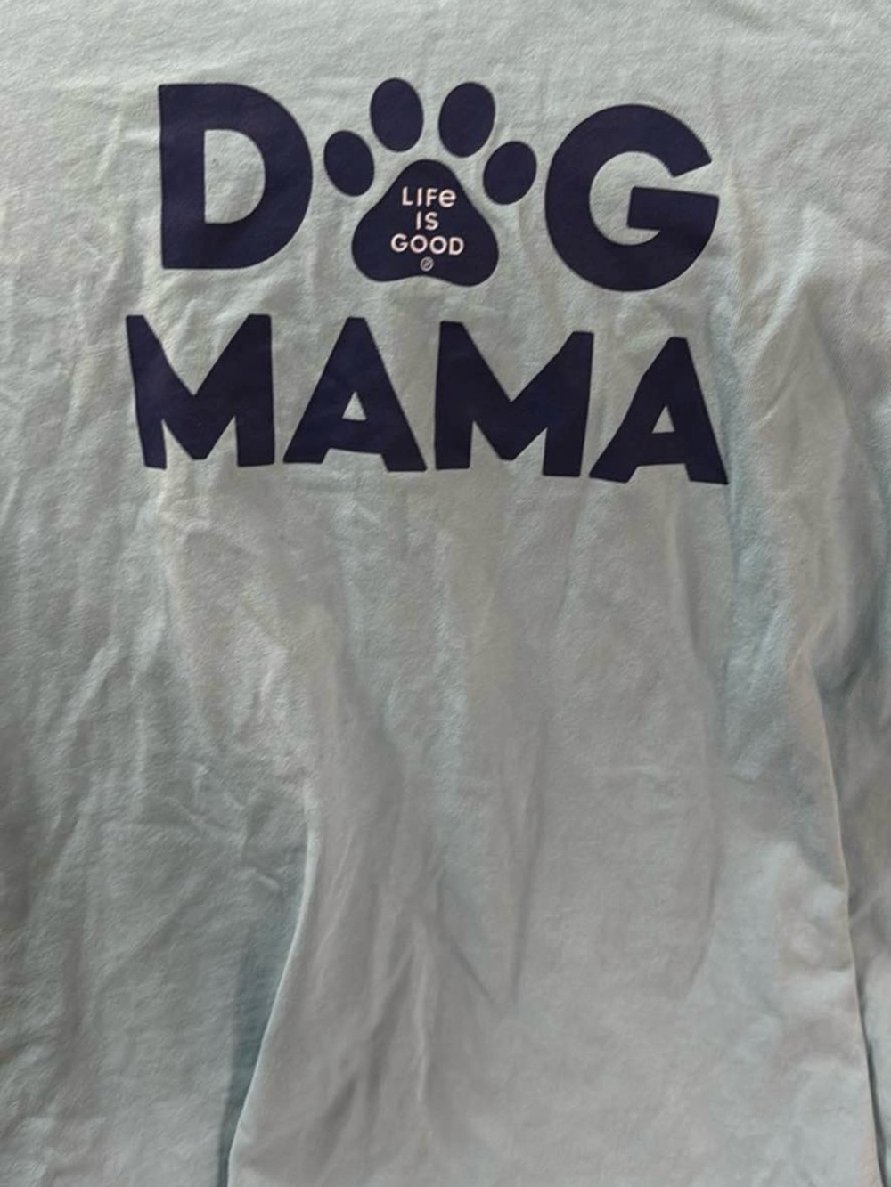 Life Is Good Light Mint Dog Mama Tee with Navy Print - Picture 2 of 4